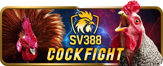 Sự kiện và quà tặng độc quyền VIP bl88 casino